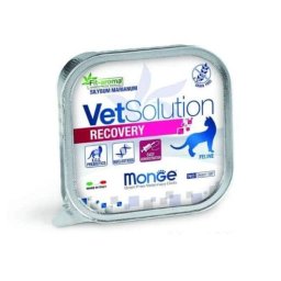 Monge VetSolution Cat Recovery – Wet