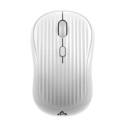 S Box WM 602 W