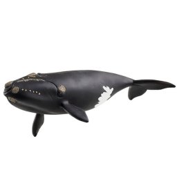 North Atlantic Right Whale Schleich 14878