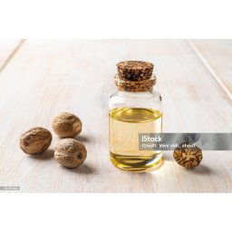 ETARSKO ULJE MUSKANTNI ORAŠČIĆ 10ML