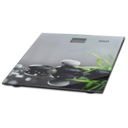 VAGA TELESNA MSC-3077R