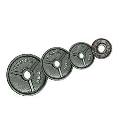 Gim fit capriolo - olimpijski čelični teg 1 kg ( 291410 )