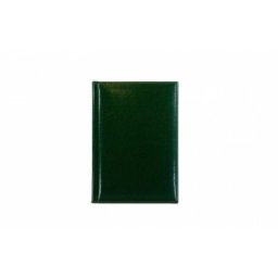 Novaskin rokovnik B5 kelly green ( 102.204.43 )