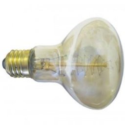 Elit+ R80 60w e27 bistra sijalica sa dekorativnim vlaknom ( ELG178 )