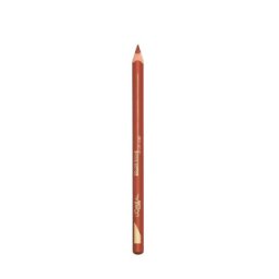 Loreal color riche olovka za usne 107 ( 1003002709 )