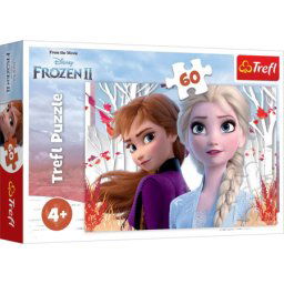 Tref line puzzle 60 the enchanted wo ( T17333 )