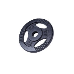 Gorilla Sports Teg od livenog gvožđa 2,5 kg (30 mm u crnoj boji) ( 100542-00019-0007 )
