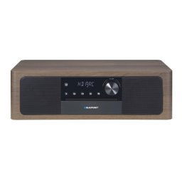 Blaupunkt mikro-linija MS22BT