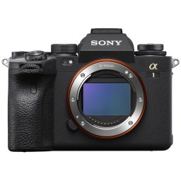 Sony A1