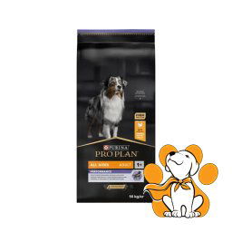 Purina Pro Plan All Size Adult, Performance 14kg, Za sve rase pasa sa piletinom