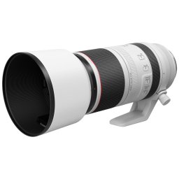 Canon RF 100-500mm f/4.5-7.1L IS USM