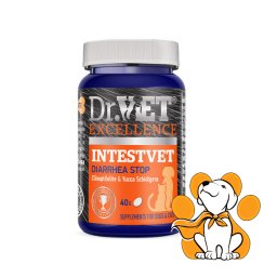 Dr VET Intestvet 40 Tableta, Smiruje Upalne Procese u Digestivnom Traktu