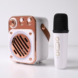 Bluetooth zvucnik BS2632