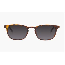 Barner Dalston DT S