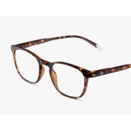 Barner Dalston/ Glossy Tortoise Zaštitne naocare ( DGT )