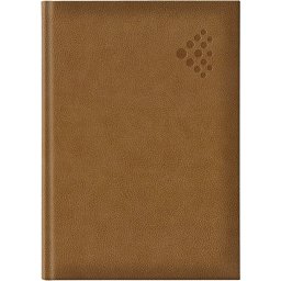 Rokovnik B5 linije 256strana Edolo A88 bež (beige)