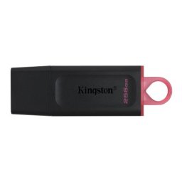 256GB DataTraveler Exodia Kingston DTX/256GB