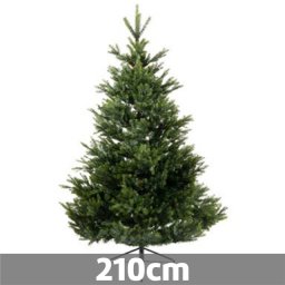 Novogodišnja jelka - Snežna jela Arlberg fir 210cm Everlands ( 68.4382 )