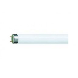 Philips fluo cev TL-D 36W/54-765 PS242