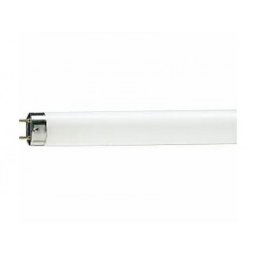 Philips fluo cev TL-D 18W/54-765 PS245