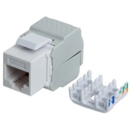 Intellinet 167062 Cat6/tool-less/568B 2-1/beli Modul RJ45