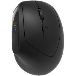 Canyon mouse MW-25 Ergonomic LED AA Wireless Black ( CNS-CMSW25 )