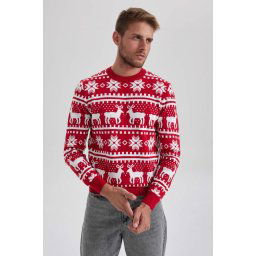 DEFACTO Standard Fit New Year Themed Crew Neck Knitted Sweater