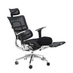Ergonomska radna stolica HAVAS/N - Crna ( 5801 )