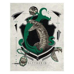 Fanattik Harry Potter Art Print : Slytherin ( 068938 )