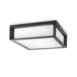 SKIES PLAFONSKA SVETILJKA ANTRACIT 2XMAX42W E27 230V, 915002147303, PHILIPS