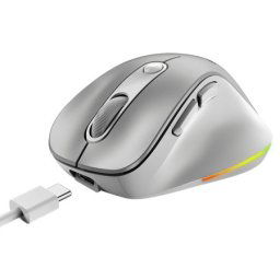 Genius Ergo 9000S Pro Silver USB Bežični sivi miš