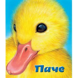 Tvrde slikovnice - Pače ( 241902 )
