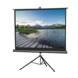 Lexin td8080m tripod 203x203 Platno za projektor ( 47446 )