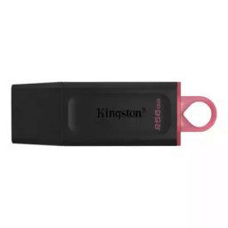 Kingston 256 GB 3.2 Exodia DTX/256GB USB Flash