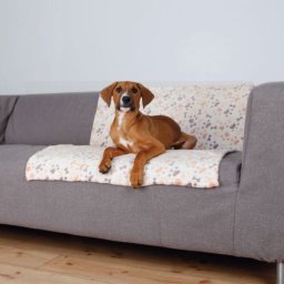 Trixie Ćebe Lingo - 100×75cm