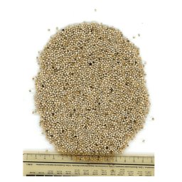 Manitoba Bela perila 1kg