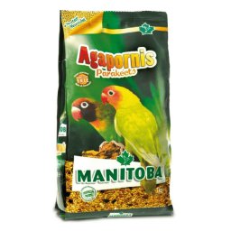 Manitoba Agapornis Parakeets Nimfe - 20 kg