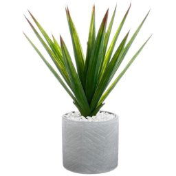 Atmosphera-Aloe-Vera-U-Saksiji-44-x-47cm