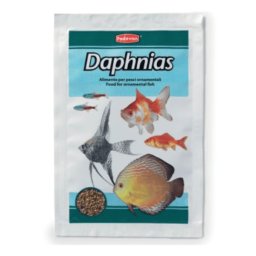 Padovan Daphnias 5g