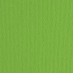 Fabriano elleerre hamer papir b1 220g - odaberite nijansu verde ( 193010 )