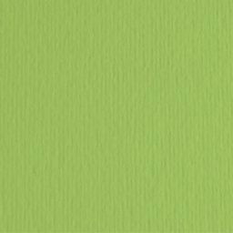 Fabriano elleerre hamer papir b1 220g - odaberite nijansu verde pisello ( 193009 )