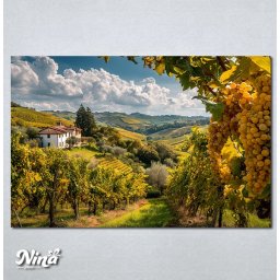 Slike na platnu Vinograd Nina656_P