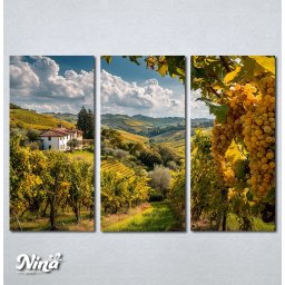 Slike na platnu Vinograd Nina656_3