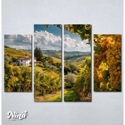 Slike na platnu Vinograd Nina656_4