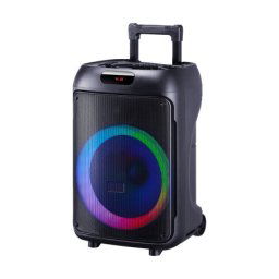 Zvucnik bluetooth ndr-jbr-1205 20w 12 inca sa mikrofonom crni ( ZV1184 )