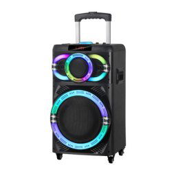 Zvucnik bluetooth ndr-1270 80w 12 inca sa dva mikrofona crni ( ZV1183 )
