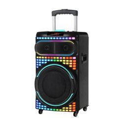 Zvucnik bluetooth ndr-1260 60w 12 inca sa dva mikrofona crni ( ZV1136 )
