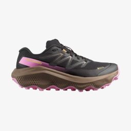 SALOMON L ULTRA FLOW 2 GORE-TEX ŽENSKE PATIKE
