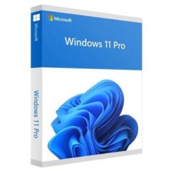 Microsoft windows 11 professional fqc-10528 ( 56693 )