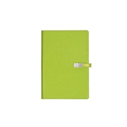 ALICANTE Notes sa magnetnim preklopom A5 - apple green